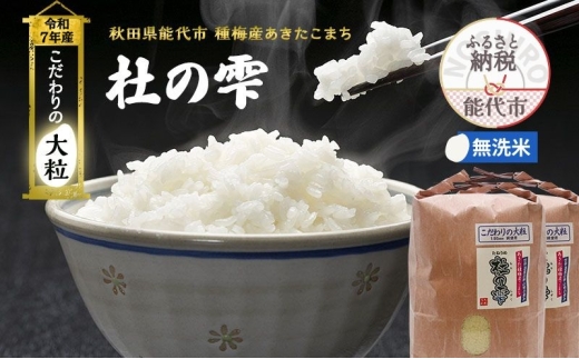令和7年産 新米 米 お米 《定期便9ヶ月》【無洗米】秋田県産 あきたこまち あきた種梅産こまち 杜の雫 こだわりの大粒 18kg（9kg×2袋）×9回 合計162kg