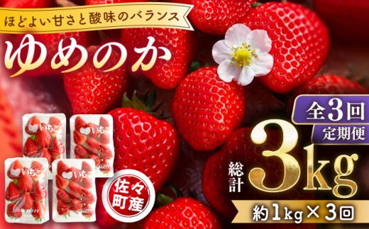【発送月選択可能】【先行予約・全3回定期便・1,2,3月発送】佐々町産 いちご 「ゆめのか」約1.0kg （250g×4パック）/回 （総量計3.0kg）【市丸農園 いちご研究室】 [QBF003] / 長崎県 佐々町 2241568 - 長崎県佐々町