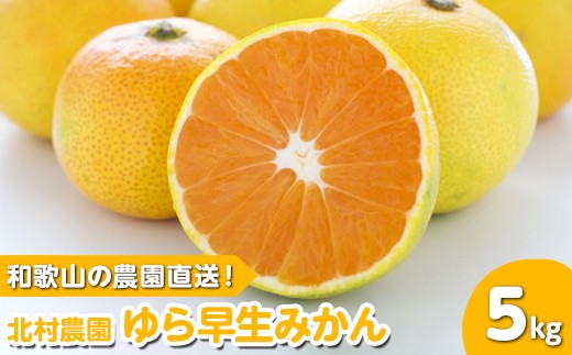 和歌山の農園直送!北村農園のゆら早生みかん5kg[先行予約]