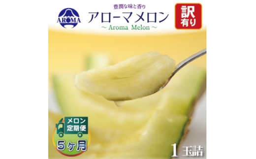 ＜毎月定期便＞＜訳あり＞アローマメロン 1玉　全5回【4072003】 2243009 - 静岡県掛川市