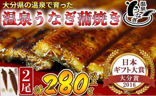 【配送日指定可能】温泉うなぎ蒲焼 2尾（140gサイズ） 国産うなぎ 人気 チョイス限定 国産 蒲焼 蒲焼き かば焼き 鰻屋 個包装 冷凍 真空 ギフト 敬老の日 ＜104-007_5＞