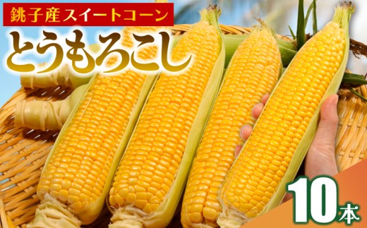 【先行予約】 とうもろこし 10本 数量限定 期間限定 産地直送 鮮度抜群 大容量 旬の野菜 旬の味覚 夏の風物詩 甘い トウモロコシ イエローコーン スイートコーン 夏野菜 バターコーン コーン スープ 特産品 とうきび プレゼント 贈り物 ギフト 贈答 お取り寄せ グルメ お取り寄せグルメ 発送時期 2026年7月中旬~(なくなり次第終了) ふるさと納税 送料無料 千葉県 銚子市 小野商店 2170118 - 千葉県銚子市