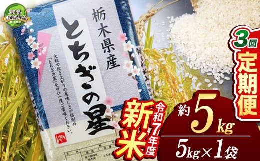 【定期便3回】とちぎの星 5kg【栃木県共通返礼品】 | 米 こめ コメ kome 白米 精米 お米 とちぎのほし トチギノホシ ﾄﾁｷﾞﾉﾎｼ 粘り 弾力 冷めても美味しい 丼もの カレー 新米 栃木米 令和7年度米 令和7年度 2025年度米 2025年度 ブランド米 栃木県 特産品 送料無料 栃木県 下野市 しもつけ市
