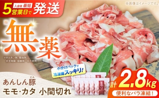 《バラ凍結》 モモ・カタ 小間切れ 2.8kg （280g×10袋） 豚肉 小分け 薄切り 豚こま 白川町 / 藤井ファーム [AWAF029] 2242578 - 岐阜県白川町
