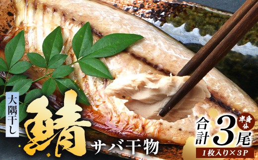 鹿児島県産 サバ 干物 (半身分1枚入り)×3パック ≪合計3枚≫ PT-4 | 開き 大隅干し 冷凍 国産 鯖 ごまさば ひもの 海鮮 新鮮 瞬間冷凍 産地直送 加工品 朝ご飯 おかず グルメ 鹿児島県 南大隅町 ピットスリー