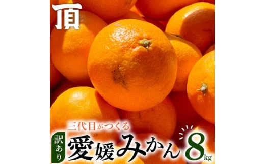 ＜訳あり(家庭用)＞三代目がつくる愛媛みかん 8kg＜C31-40＞【1556518】 2240603 - 愛媛県八幡浜市