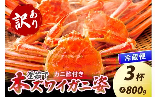 【大好評！カニ酢付き】訳あり！釜茹で！特大本ずわいがに姿 800g×3杯　YK00489