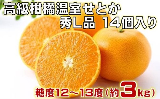高級 柑橘 温室 せとか 秀L品 14個入り（約3kg）［1429］