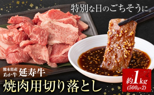 熊本県産 あか牛 「-延寿牛-」 焼肉 切り落とし 約1kg 株式会社ワンエイト《30日以内に出荷予定(土日祝除く)》熊本県 苓北町 延寿牛 牛肉 焼肉用切り落とし【配送不可地域あり】
