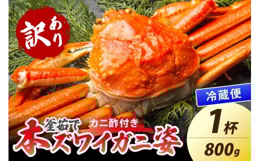 【大好評！カニ酢付き】訳あり！釜茹で！特大本ずわいがに姿 800g×1杯　YK00487