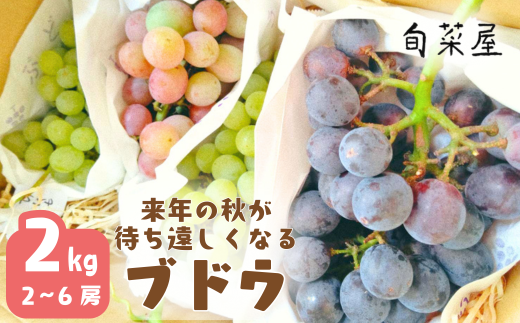 来年の秋が待ち遠しくなるブドウ ２kg（H1-1）