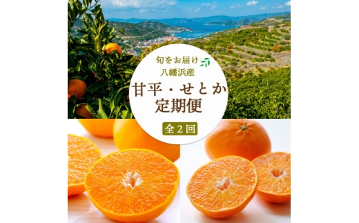 ＜発送月固定定期便＞＜愛媛限定栽培＞甘平3kg×せとか2kg＜H25-271＞全2回【4071372】 2240614 - 愛媛県八幡浜市