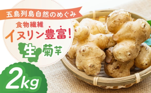 生キクイモ(菊芋)2kg 五島市/五島列島自然のめぐみ 