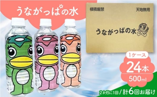 【6回定期便】 うながっぱの水 1ケース（ 500ml ペットボトル × 24本 ） 2 多治見市 /多治見市観光協会 ミネラルウォーター 備蓄 [TAQ017] 2241136 - 岐阜県多治見市