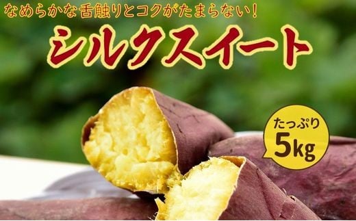 040-02 さつまいも「シルクスイート」5kg
