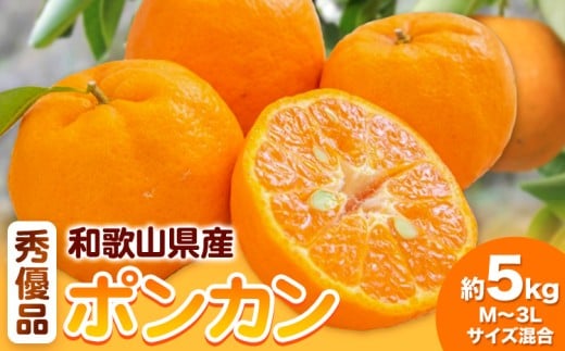 和歌山県産ポンカン 約 5kg 秀優品 (M～3Lサイズ混合) 厳選館 《2026年2月上旬-3月末頃出荷》和歌山県 日高川町 柑橘 ポンカン ぽんかん フルーツ 秀品 優品