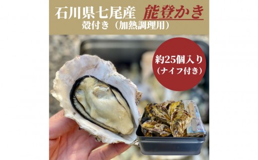 石川県七尾産 能登かき 殻付き (約25個) 2240855 - 石川県七尾市