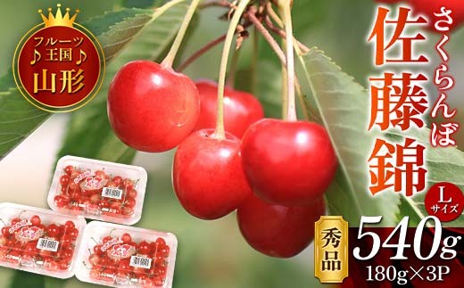 【先行予約 2026年度発送】♪フルーツ王国山形♪佐藤錦 秀品 FSY-1123 1157165 - 山形県山形県庁