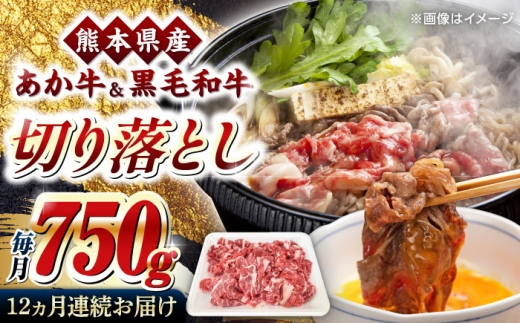 【全12回定期便】熊本県産 くまもと黒毛和牛 あか牛 ミックス 切り落とし 750g 牛肉【熊本県畜産農業協同組合】 [YAD038] 2241031 - 熊本県山都町