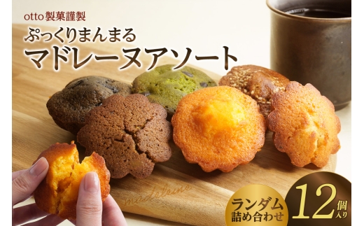 otto製菓謹製 ぷっくりまんまるマドレーヌアソート12個 2242950 - 愛知県高浜市
