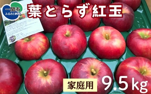 【先行予約】葉とらず紅玉 9.5kg 家庭用 1385495 - 岩手県一関市