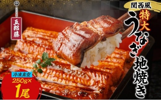 関西風うなぎ地焼き特大 冷凍真空 1尾×250g うなぎ ウナギ タレ 老舗 伝統 蒲焼き 真空パック 小分け 丑の日 ひつまぶし うな重 お取り寄せ グルメ プレゼント 贈答 贈り物 土用の丑の日 五郎藤 大阪府 堺市