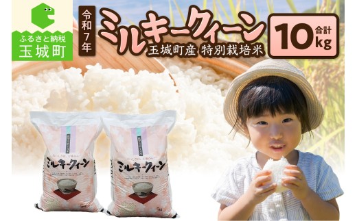 令和7年ミルキークイーン10kg お米 米 ミルキークイーン お米 ミルキークイーン 2241658 - 三重県玉城町