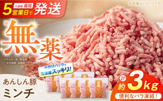 《バラ凍結》 ミンチ 約 3kg （380g×8袋） 豚肉 肉 小分け 離乳食 冷凍 白川町 / 藤井ファーム [AWAF034] 2242583 - 岐阜県白川町