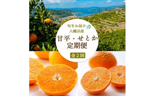 ＜発送月固定定期便＞＜愛媛限定栽培＞甘平3kg(秀)×せとか3kg(訳)＜H25-272＞全2回【4071374】 2240615 - 愛媛県八幡浜市