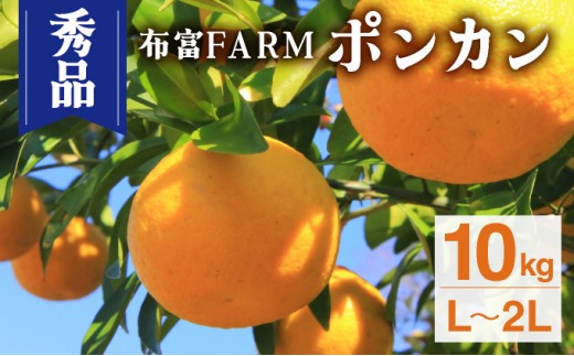 NT2-7-04【kg数が選べる】 ＜秀品ポンカンL〜2L　10kg＞