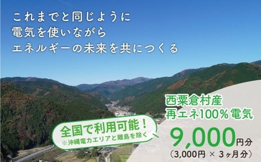 電気料金 （3,000円×3ヶ月分） 百森でんき CO2フリー 地域電力 お礼の電力 電気代 脱炭素 ゼロカーボン 岡山県 西粟倉村 【まずは寄付のお申し込みを！】 e-vv-A01D