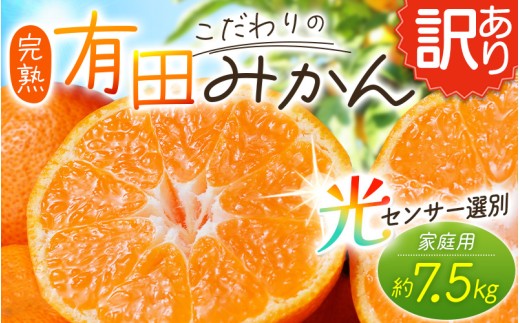 【訳あり】農家直送 有田みかん 約7.5kg ご家庭用 サイズ混合 ※2025年11月中旬より順次発送予定（お届け日指定不可）※北海道・沖縄・離島への配送不可 訳ありみかん みかん ミカン 蜜柑 柑橘 フルーツ 果物 くだもの 温州みかんサイズ混合 訳ありみかん 温州みかん 有機質肥料100% ふるさと納税 柑橘 有田 産地直送【nuk157D】 1302462 - 和歌山県太地町