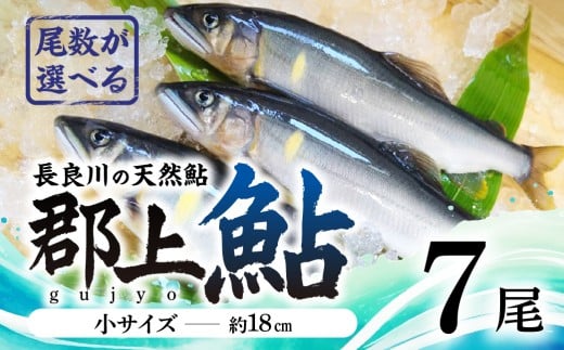 [尾数が選べる]郡上鮎 長良川の天然鮎 小サイズ(約18cm) 7尾/ 食品 魚介類 水産加工品 その他水産物 鮎 アユ 10000円 G0075b