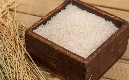 【全3回定期便】 ながさき木村式自然栽培 令和7年産 ひのひかり 白米 10kg （合計30kg） 【2025年10月上旬より順次発送開始】 ／ 10キロ ヒノヒカリ お米 米 精米 定期便 国産 九州 長崎県 長崎市