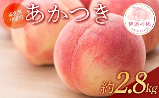 【2026年出荷分先行予約】福島の桃 あかつき 約2.8kg (6～11玉) あかい果樹園 伊達の桃 桃 フルーツ 果物 もも モモ momo F20C-904