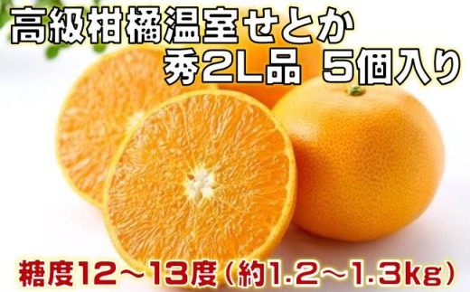 高級柑橘 温室せとか 秀2L品 5個入り（約1.2～1.3kg）［1202］