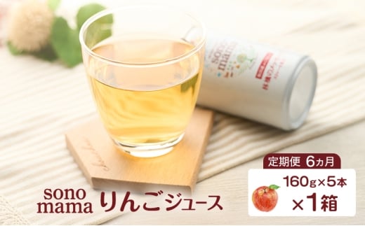 《 定期便 6ヵ月 》 りんごジュース「sonomama」（160g×5本）×1箱 りんご リンゴ ジュース リンゴジュース 飲料 2243016 - 秋田県羽後町