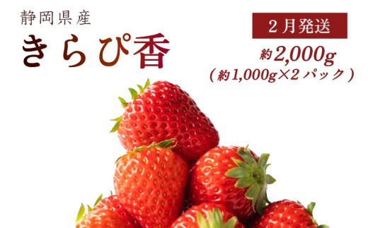 【2月発送】 きらぴ香 2000g以上 いちご 1000g×2パック イチゴ 冷蔵発送 苺 2kg 土耕栽培 フルーツ 果物 スイーツ デザート朝摘み ストロベリー おやつ 完熟 直送 ギフト 家庭用 贈答用 贈答 ギフト 贈り物 甘い ブランド ジャム アレンジ フルーツサンド 農家直送 ベリー 産地直送 国産 おすすめ 森木農園 静岡県 牧之原市 ~土耕栽培だから濃くて甘い!~ 1210172 - 静岡県牧之原市
