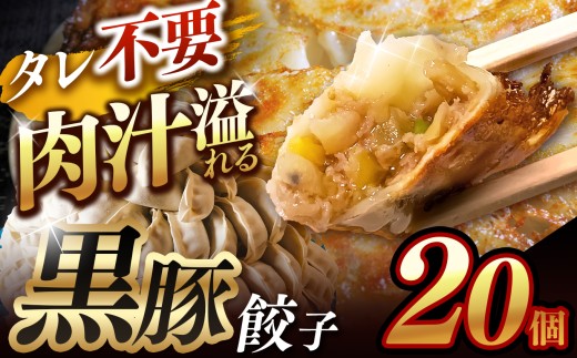  肉汁 溢れる『 黒豚餃子 』 20個 | 餃子 ぎょうざ お手軽 小分け 冷凍 冷凍食品 おかず 豚肉 熊本県 玉名市