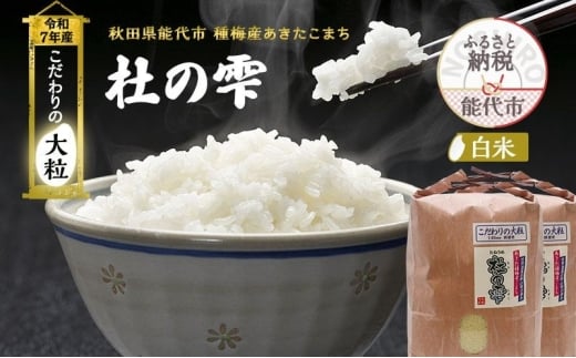 令和7年産 新米 米 お米 定期便12ヶ月 白米 秋田県産 あきたこまち あきた種梅産こまち 杜の雫 こだわりの大粒 18kg(9kg×2袋)×12回 合計216kg