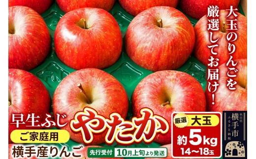 【先行受付】10月上旬より発送 横手市りんご 早生ふじ・やたか【大玉】ご家庭用 約5kg 2241683 - 秋田県横手市