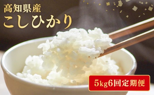 【令和7年産】 米 こしひかり 5kg 定期便 6ヶ月 計 30kg お米 白米 精米 新米 コシヒカリ 産地直送 ごはん ご飯 高知県産 弁当 おにぎり 料理 高知県安芸市 2243250 - 高知県安芸市