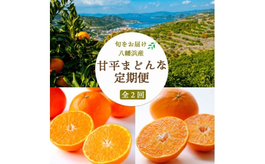 ＜発送月固定定期便＞＜愛媛の人気高級品種＞まどんな2.5kg×甘平3kg＜H25-266＞全2回【4071241】 2240610 - 愛媛県八幡浜市