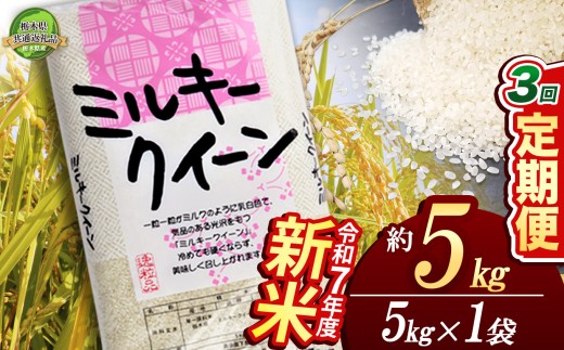 【定期便3回】ミルキークイーン 5kg【栃木県共通返礼品】 | 米 こめ コメ kome 白米 精米 お米  みるきーくいーん ﾐﾙｷｰｸｲｰﾝ Milky queen ミルキークイーン もちもち モチモチ ふっくら もち米風 炊き込み 新米 栃木米 令和7年度米 令和7年度 2025年度米 2025年度 ブランド米 栃木県 特産品 送料無料 栃木県 下野市 しもつけ市