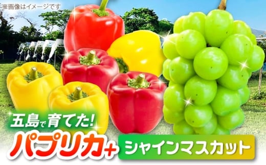 シャインマスカットとパプリカ 五島市/HPIファーム ブドウ ぶどう 野菜 果物 