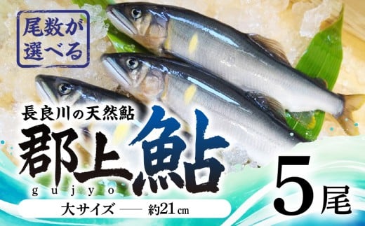【尾数が選べる】郡上鮎 長良川の天然鮎 大サイズ(約21ｃｍ) 5尾 / 食品 魚介類 水産加工品 その他水産物 鮎 アユ 15000円 G0077b