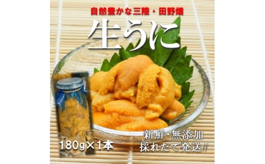 ＜予約・7月中旬～発送＞三陸生うに　180g×1本　国立公園・田野畑村から(瓶入りミョウバン不使用)【1657829】