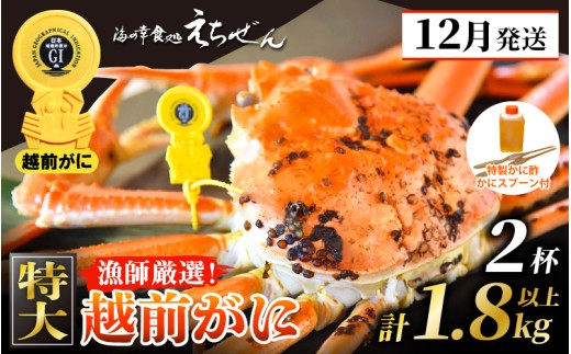 ≪浜茹で≫ 越前がに 特大 × 2杯（生で計1.8kg以上） 越前がに漁師厳選！かに酢 かにスプーン4本 食べ方QRコード付き【雄 ズワイガニ ずわいがに 姿 ボイル 冷蔵 福井県】【12月発送分】希望日指定可 備考欄に希望日をご記入ください [e38-x002_12]