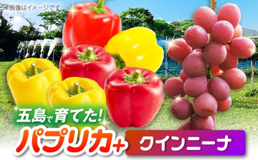 クインニーナとパプリカ 五島市/HPIファーム ブドウ ぶどう 野菜 果物 