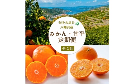 ＜発送月固定定期便＞愛媛みかん7kg(訳)×甘平3kg(訳)＜G25-274＞全2回【4071221】 2240608 - 愛媛県八幡浜市